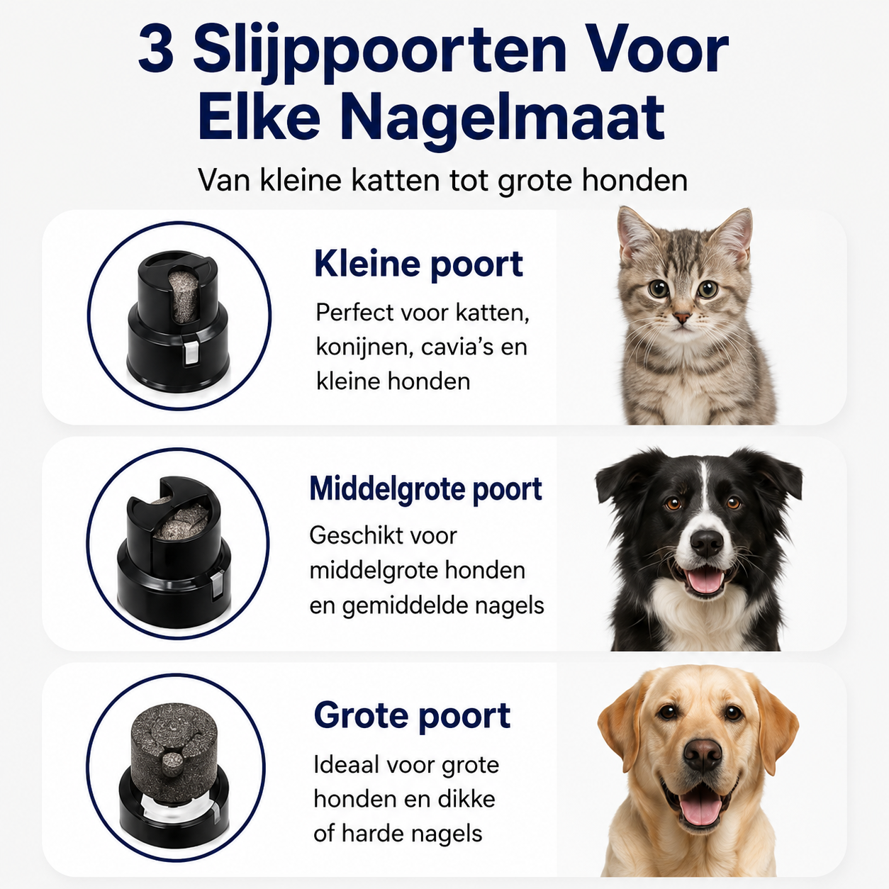 Calmivo™ – De Stressvrije Nagelvijl