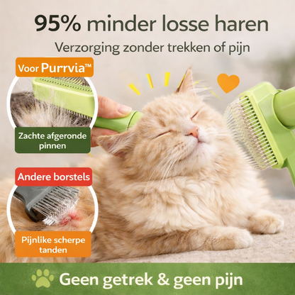 Purrvia™ - Katten Verzorgingsborstel