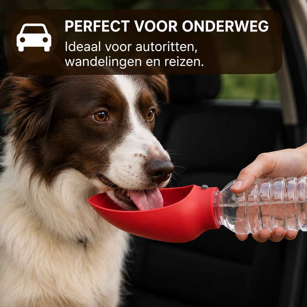 SipPaw™ | Sillicone Portable Drinkbak